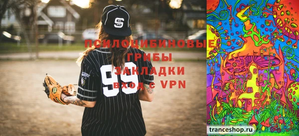 метадон Алексин