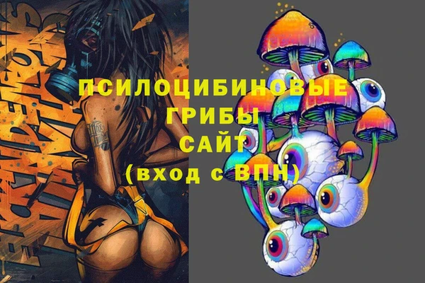 метадон Алексин