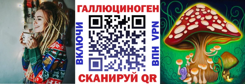 Псилоцибиновые грибы Psilocybine cubensis  закладки  Грязи 